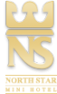 Логотип компании Норд Стар