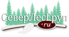 Логотип компании СеверЛесГруп