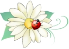 Логотип компании Травы Алтая