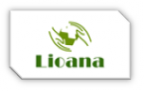 Логотип компании Lioana