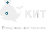 Логотип компании КИТ