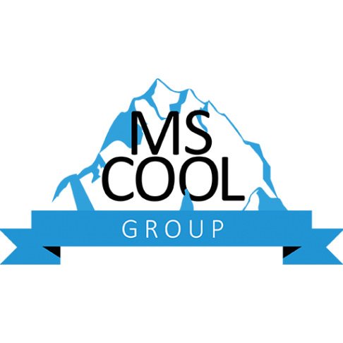 Логотип компании MS-COOL Group