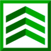 Логотип компании ООО «Строительный лес»